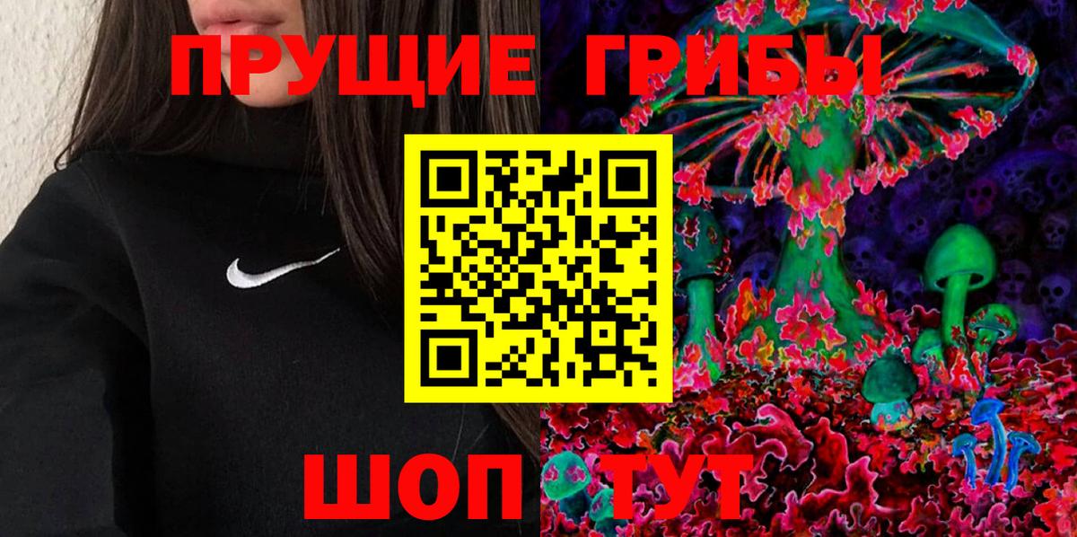 Псилоцибиновые грибы Psilocybine cubensis  Вход с VPN  Прохладный 